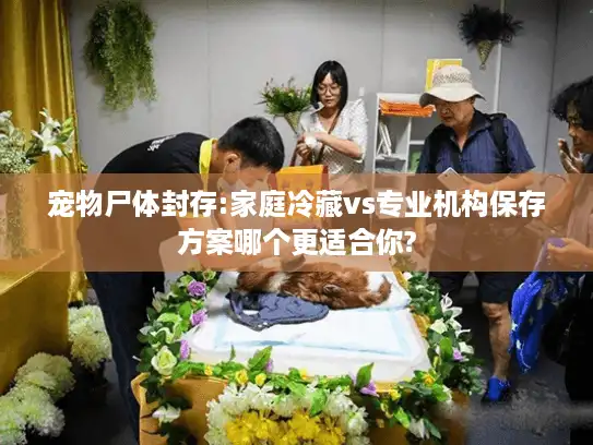 宠物尸体封存:家庭冷藏vs专业机构保存方案哪个更适合你?