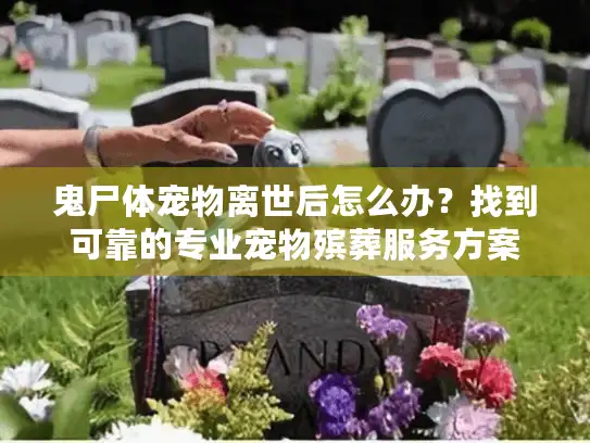 鬼尸体宠物离世后怎么办？找到可靠的专业宠物殡葬服务方案