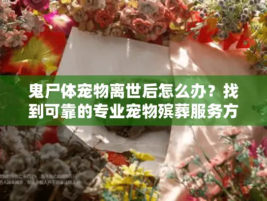 鬼尸体宠物离世后怎么办？找到可靠的专业宠物殡葬服务方案