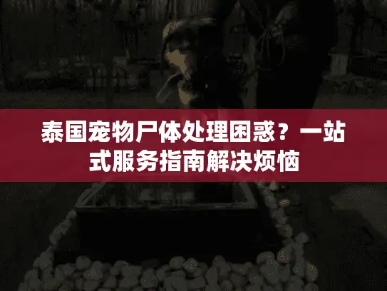 泰国宠物尸体处理困惑？一站式服务指南解决烦恼