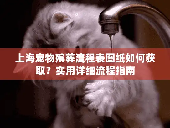 上海宠物殡葬流程表图纸如何获取？实用详细流程指南
