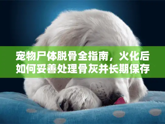宠物尸体脱骨全指南，火化后如何妥善处理骨灰并长期保存？