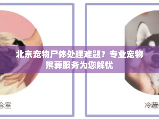北京宠物尸体处理难题？专业宠物殡葬服务为您解忧