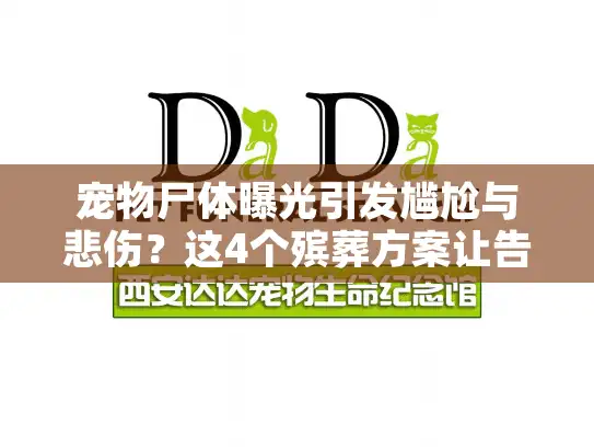 宠物尸体曝光引发尴尬与悲伤？这4个殡葬方案让告别更体面