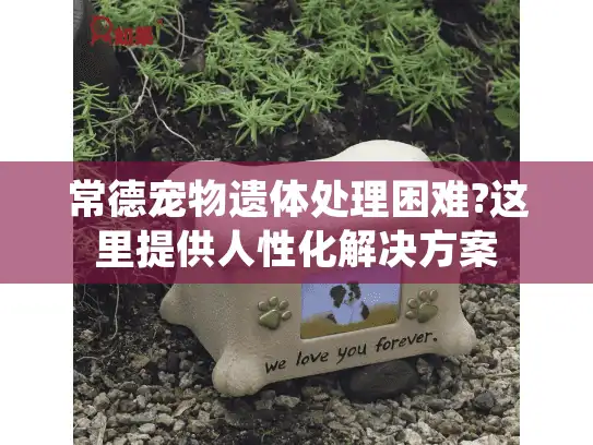 常德宠物遗体处理困难?这里提供人性化解决方案