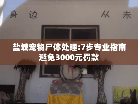 盐城宠物尸体处理:7步专业指南避免3000元罚款