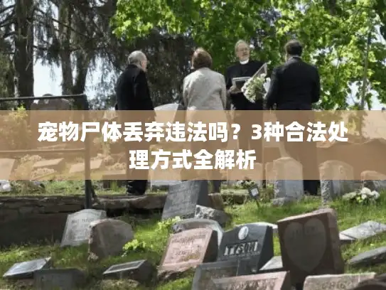 宠物尸体丢弃违法吗？3种合法处理方式全解析