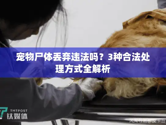 宠物尸体丢弃违法吗？3种合法处理方式全解析