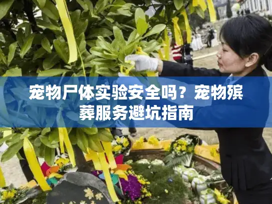 宠物尸体实验安全吗？宠物殡葬服务避坑指南