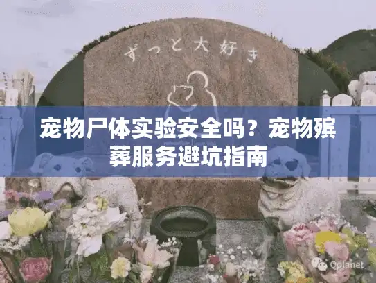 宠物尸体实验安全吗？宠物殡葬服务避坑指南