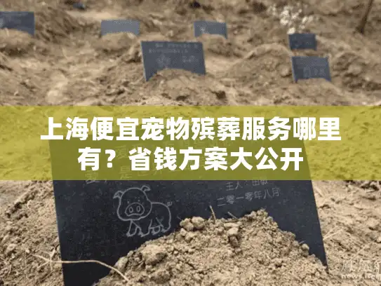 上海便宜宠物殡葬服务哪里有？省钱方案大公开