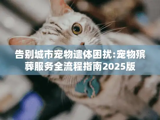 告别城市宠物遗体困扰:宠物殡葬服务全流程指南2025版