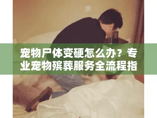 宠物尸体变硬怎么办？专业宠物殡葬服务全流程指导