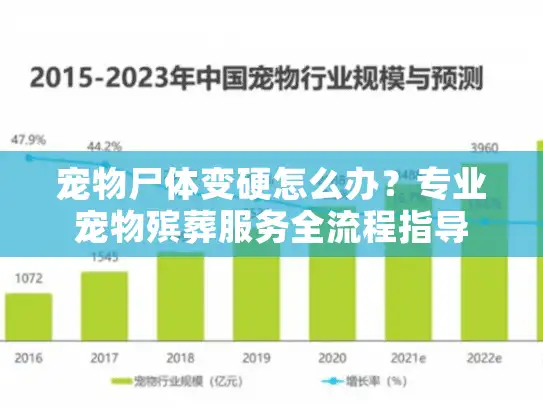宠物尸体变硬怎么办？专业宠物殡葬服务全流程指导