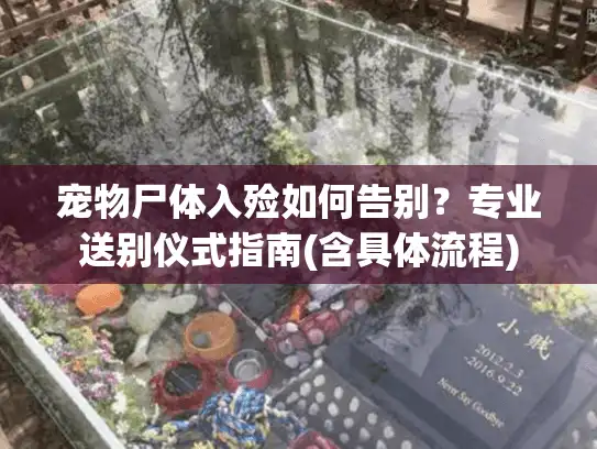 宠物尸体入殓如何告别？专业送别仪式指南(含具体流程)