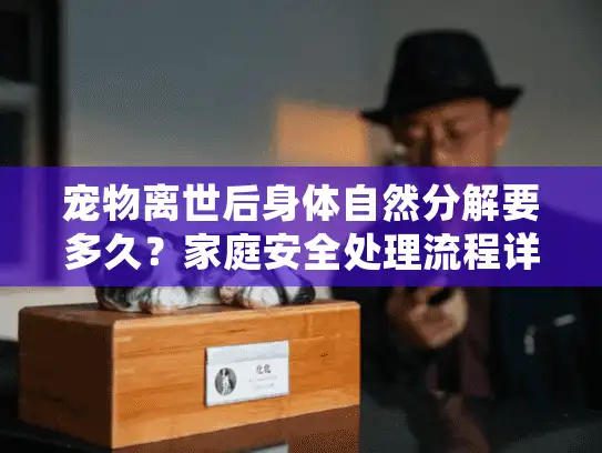 宠物离世后身体自然分解要多久？家庭安全处理流程详解