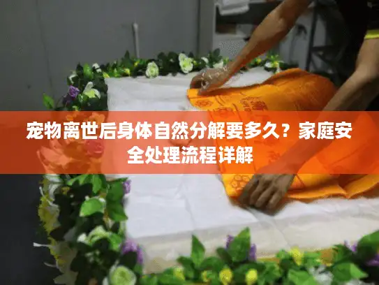 宠物离世后身体自然分解要多久？家庭安全处理流程详解