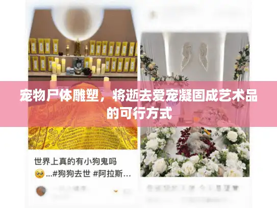 宠物尸体雕塑，将逝去爱宠凝固成艺术品的可行方式