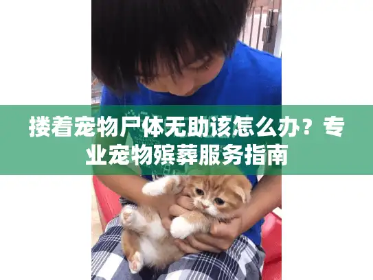 搂着宠物尸体无助该怎么办？专业宠物殡葬服务指南