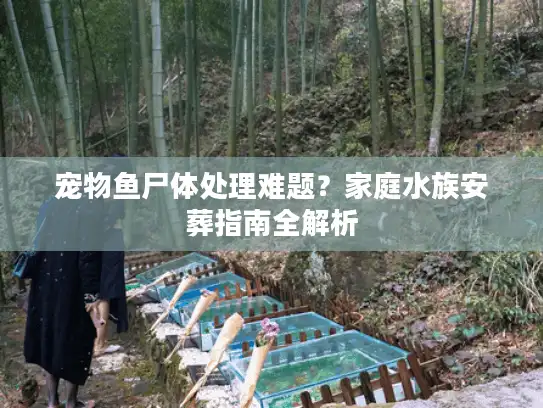 宠物鱼尸体处理难题？家庭水族安葬指南全解析