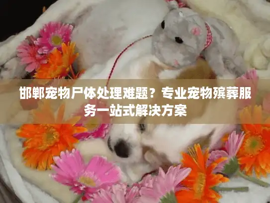 邯郸宠物尸体处理难题？专业宠物殡葬服务一站式解决方案