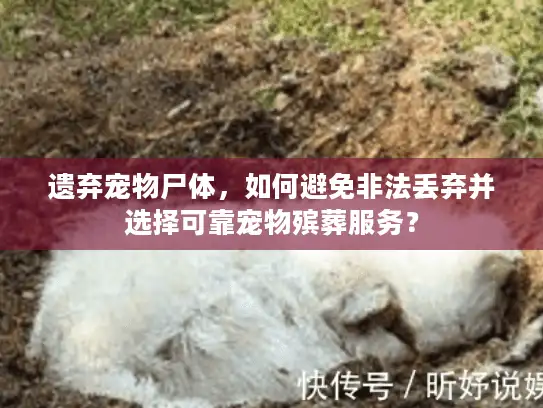 遗弃宠物尸体，如何避免非法丢弃并选择可靠宠物殡葬服务？