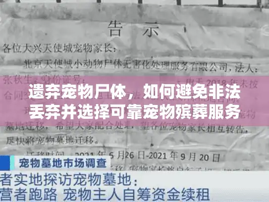 遗弃宠物尸体，如何避免非法丢弃并选择可靠宠物殡葬服务？