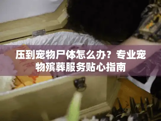 压到宠物尸体怎么办？专业宠物殡葬服务贴心指南