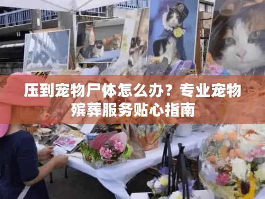 压到宠物尸体怎么办？专业宠物殡葬服务贴心指南