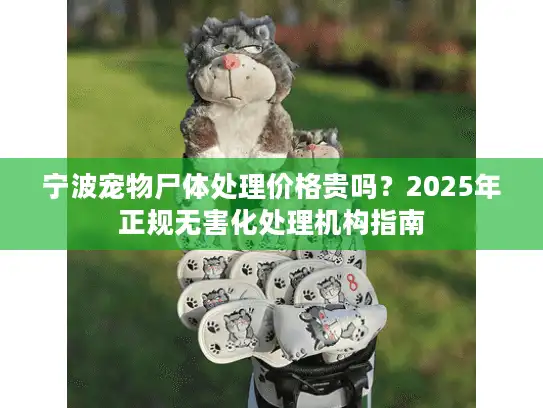 宁波宠物尸体处理价格贵吗？2025年正规无害化处理机构指南