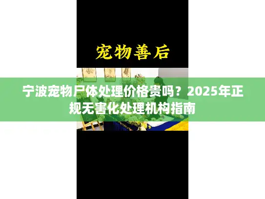 宁波宠物尸体处理价格贵吗？2025年正规无害化处理机构指南