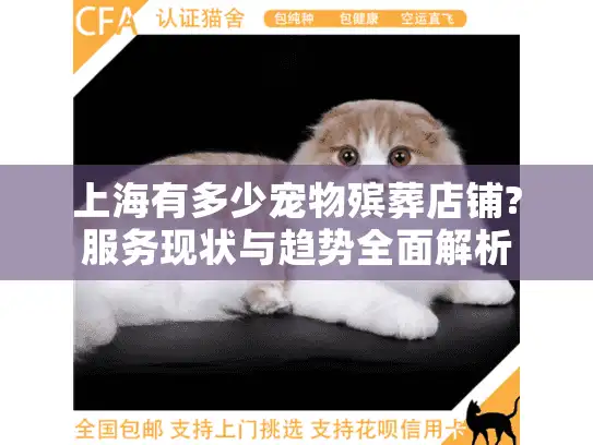 上海有多少宠物殡葬店铺?服务现状与趋势全面解析
