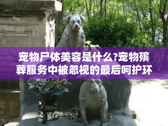 宠物尸体美容是什么?宠物殡葬服务中被忽视的最后呵护环节