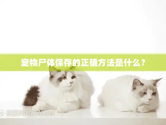 宠物尸体保存的正确方法是什么？
