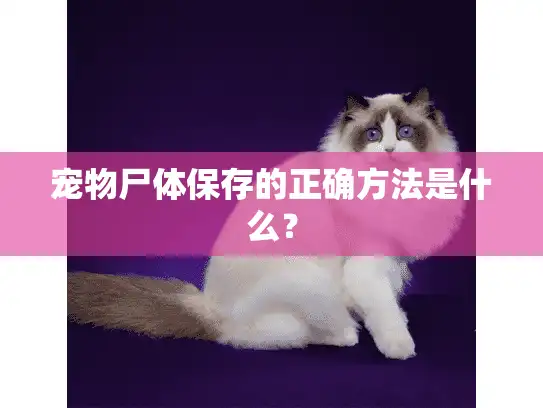 宠物尸体保存的正确方法是什么？