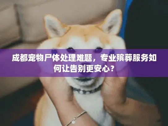 成都宠物尸体处理难题，专业殡葬服务如何让告别更安心？