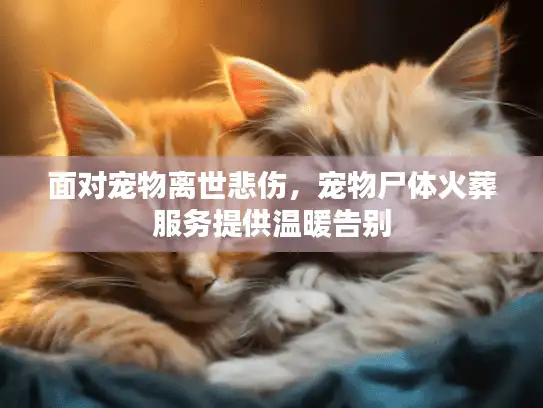 面对宠物离世悲伤，宠物尸体火葬服务提供温暖告别