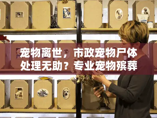 宠物离世，市政宠物尸体处理无助？专业宠物殡葬服务一站式指南
