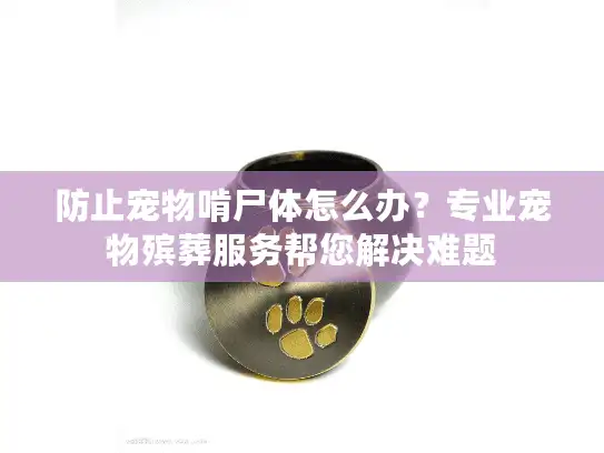 防止宠物啃尸体怎么办？专业宠物殡葬服务帮您解决难题