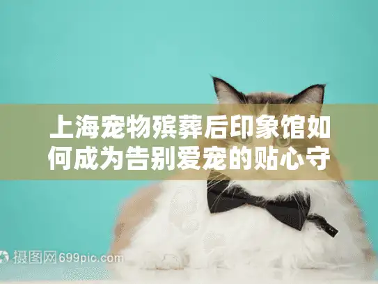 上海宠物殡葬后印象馆如何成为告别爱宠的贴心守护者?