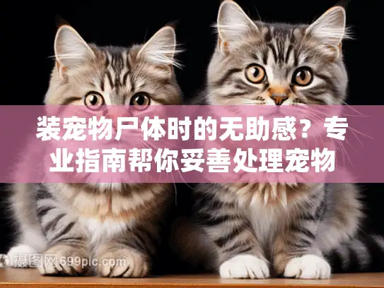 装宠物尸体时的无助感？专业指南帮你妥善处理宠物遗体
