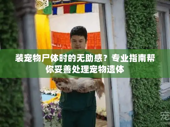 装宠物尸体时的无助感？专业指南帮你妥善处理宠物遗体