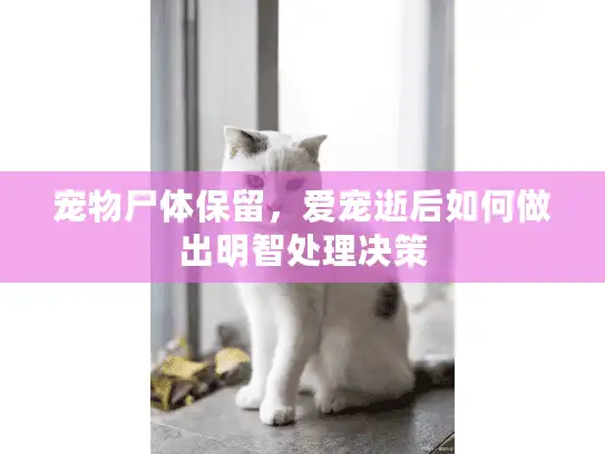 宠物尸体保留，爱宠逝后如何做出明智处理决策