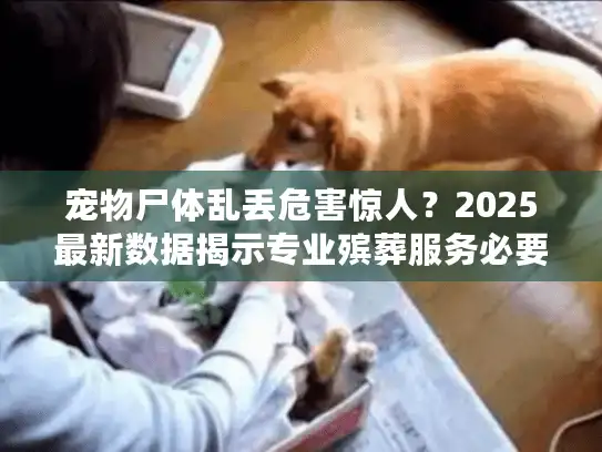 宠物尸体乱丢危害惊人？2025最新数据揭示专业殡葬服务必要性