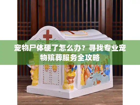 宠物尸体硬了怎么办？寻找专业宠物殡葬服务全攻略