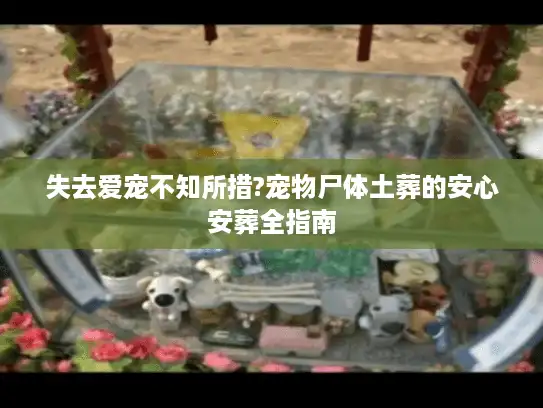 失去爱宠不知所措?宠物尸体土葬的安心安葬全指南