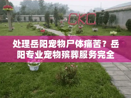 处理岳阳宠物尸体痛苦？岳阳专业宠物殡葬服务完全指南