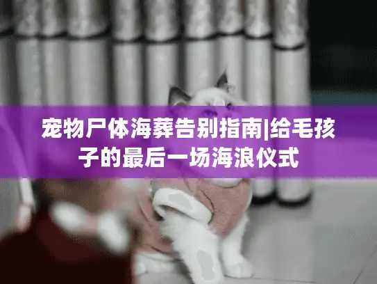 宠物尸体海葬告别指南|给毛孩子的最后一场海浪仪式