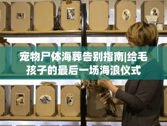 宠物尸体海葬告别指南|给毛孩子的最后一场海浪仪式