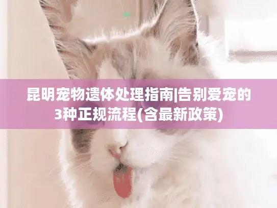 昆明宠物遗体处理指南|告别爱宠的3种正规流程(含最新政策)